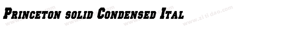 Princeton solid Condensed Italic字体转换